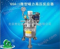 GSA-1微型磁力高压反应器