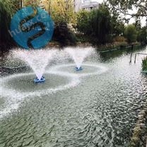 南京兰江浮水喷泉式曝气机