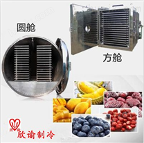 欣谕XY-GY-150食品冻干机、大型冷冻干燥机