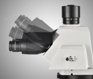 NM910手动正置金相显微镜(图4)