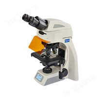 NIB610-FL/NIB620-FL倒置荧光显微镜