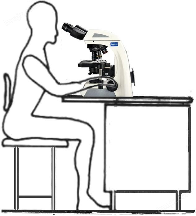 GREEN系列生物实验显微镜(图17)