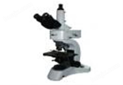 TMV6000正置金相显微镜