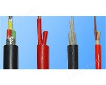 氟塑料绝缘耐高温电力电缆