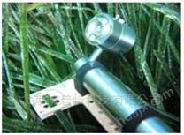 叶绿素荧光成像系统测量植物的什么