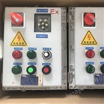 BXK-T0.75kw变频器防爆控制箱订做