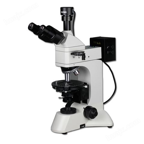 偏光显微镜XPL302