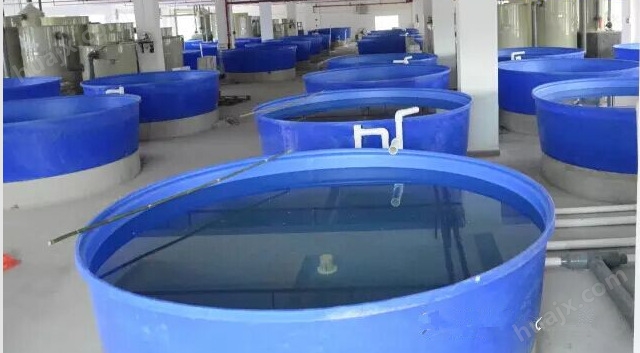 pe塑料圆桶 鱼虾养殖桶 水产养殖桶