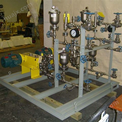 氧还原剂计量泵进口pump