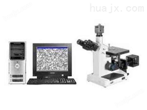 4XCW型倒置金相显微镜