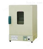 电热恒温干燥箱-DHG-9011A
