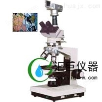 数码型偏光显微镜XP-300D