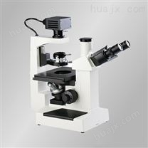 倒置生物显微镜DXS-1